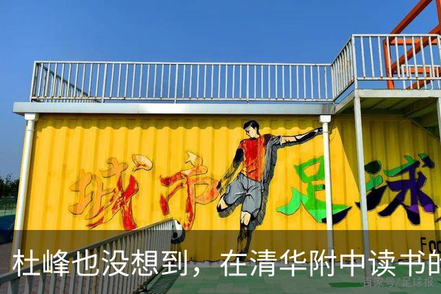 杜峰也没想到，在清华附中读书的儿子，如今15岁就开始为自己争光